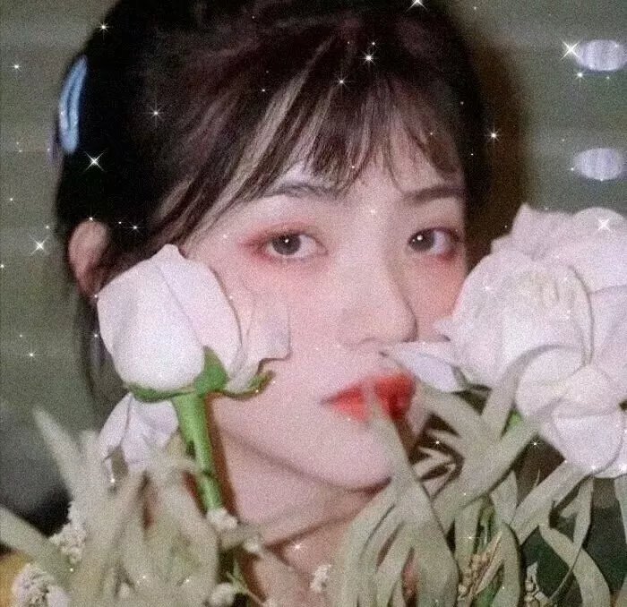 更好的世界